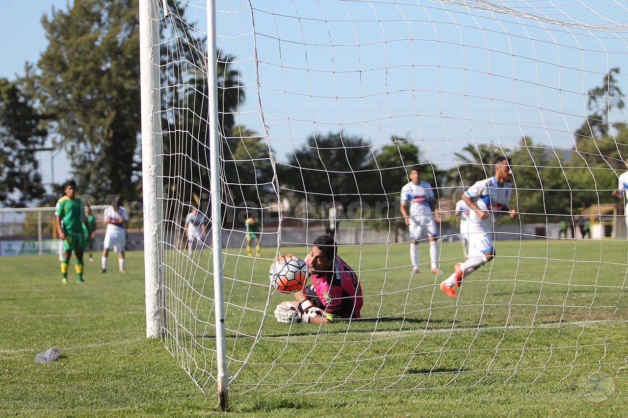 Los Potros están invencibles en casa