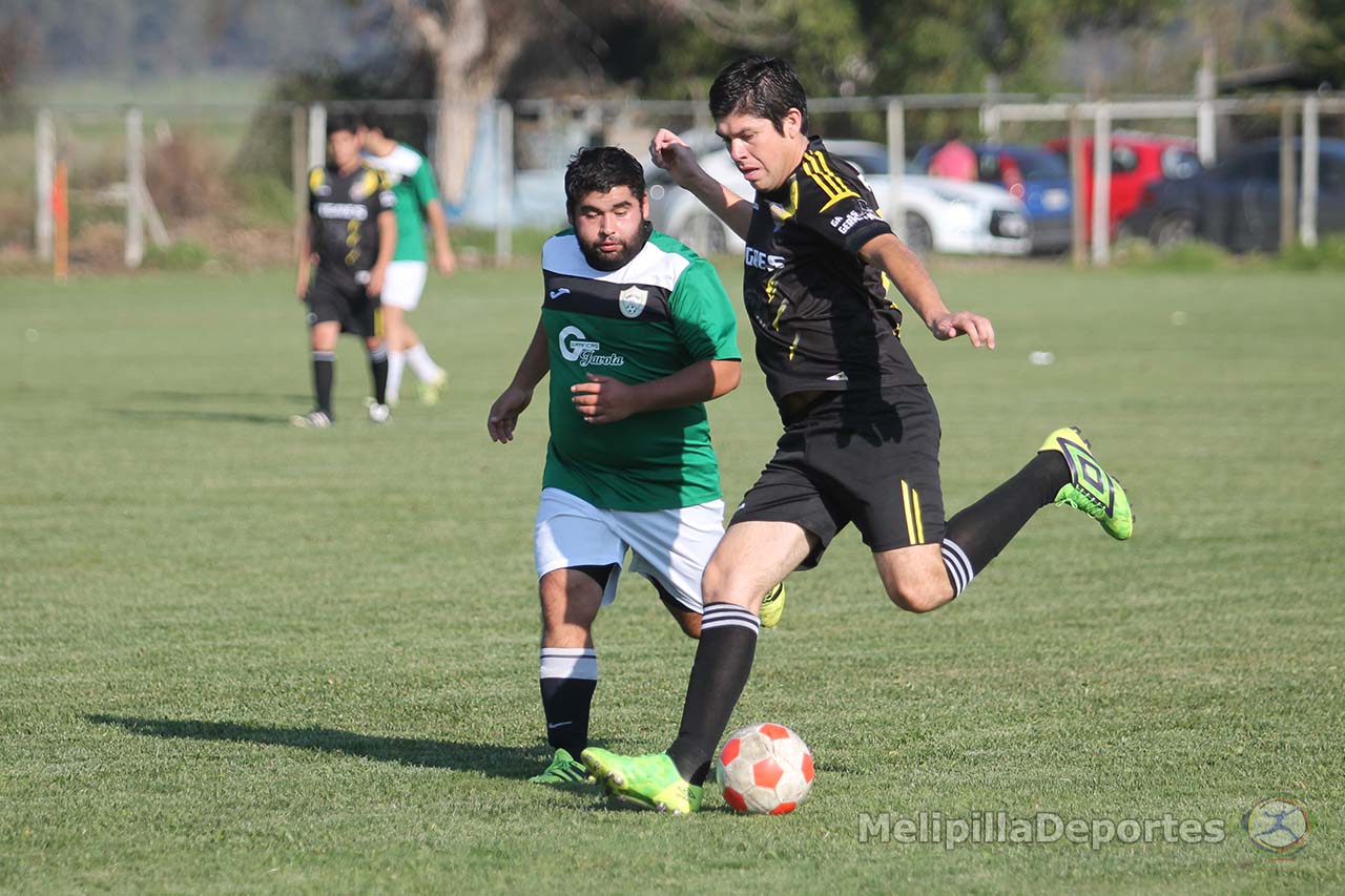Tigres, primero e invicto en la fase regular