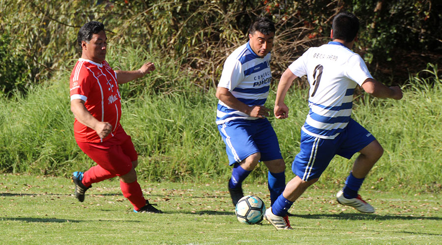 Semifinales por Series Torneo ’18 Anfur San José