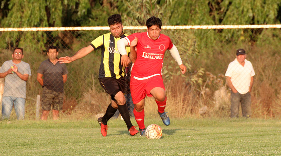 Están los Semifinalistas en el Torneo ’18 Anfur San José