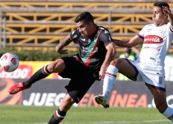 Palestino sigue siendo la bestia negra de Los Potros