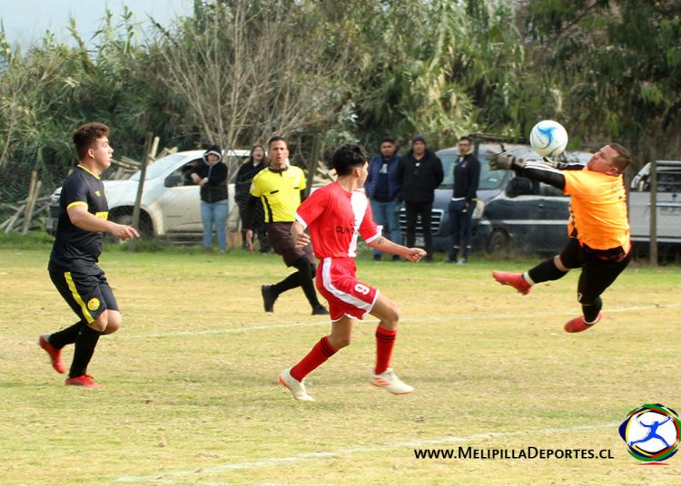 Resultados cuartos de final por series en Torneo Oficial 2023 en Anfur San José