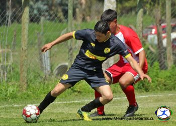 Anfur San José juega final de la liguilla de los Senior 35 y define al campeón del Apertura ’23