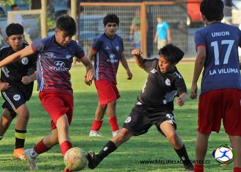 Infantiles de Carmen Bajo y Unión La Viluma clasifican a la liguilla Regional Anfur