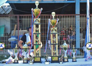Galería y Destacados en el Torneo de Clausura ’25 en el Fútbol Urbano Melipilla