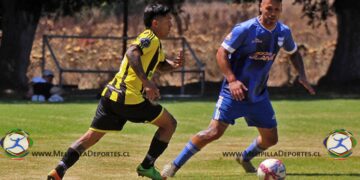 5ª fecha en el Torneo Libre de Verano ’26 de Anfur Metropolitana