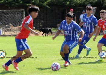 Resultados 8ª fecha en el Torneo de Apertura ’26 de Anfur Bollenar